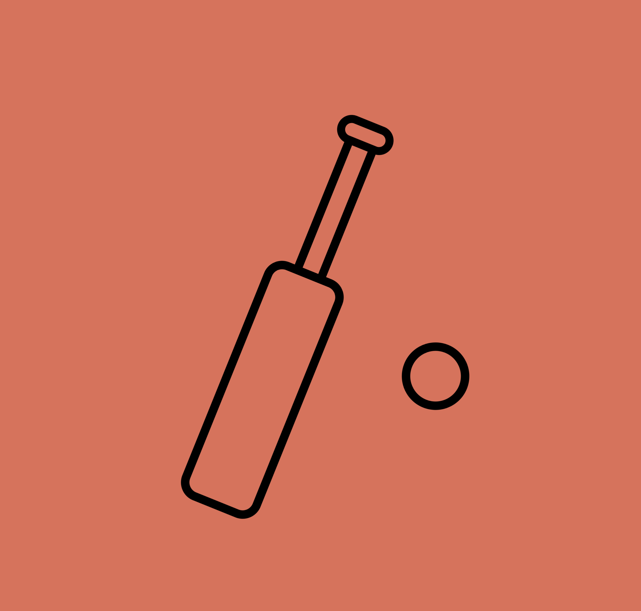 Cricket bat and ball logo